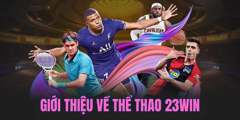 Giới thiệu chung về sân chơi thể thao online 23WIN